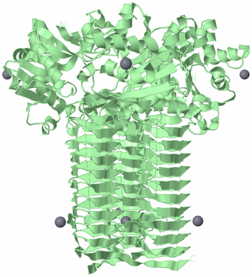 Image Biological Unit 2