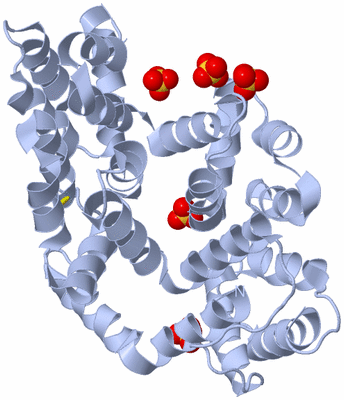 Image Biological Unit 1