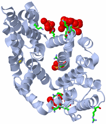 Image Biol. Unit 1 - sites