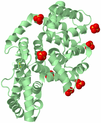 Image Biological Unit 2