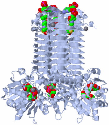 Image Biological Unit 1