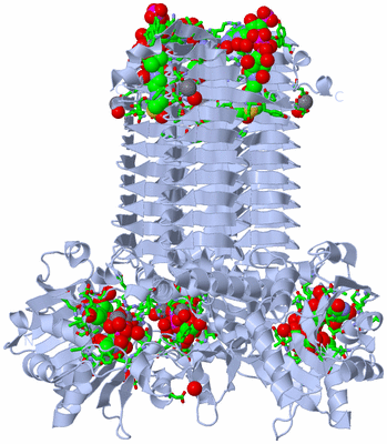 Image Biol. Unit 1 - sites