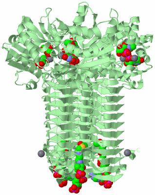 Image Biological Unit 2