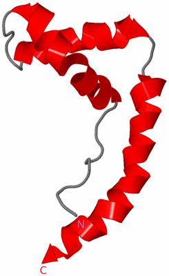 Image NMR Structure - model 1