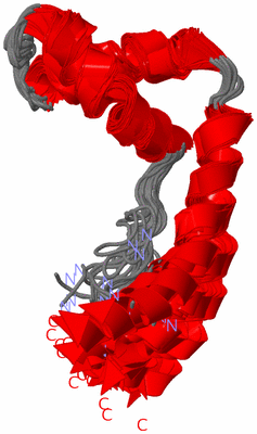 Image NMR Structure - all models