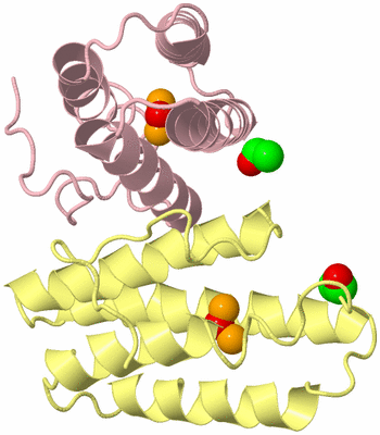 Image Biological Unit 2