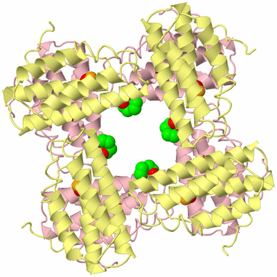 Image Biological Unit 3