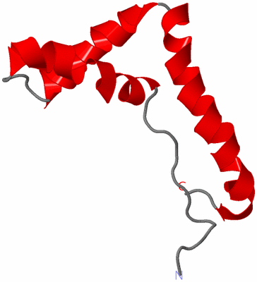 Image NMR Structure - model 1