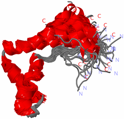 Image NMR Structure - all models