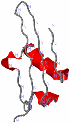Image NMR Structure - model 1