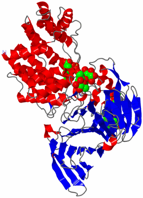 Image Asym./Biol. Unit