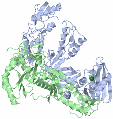 Image Biological Unit 1