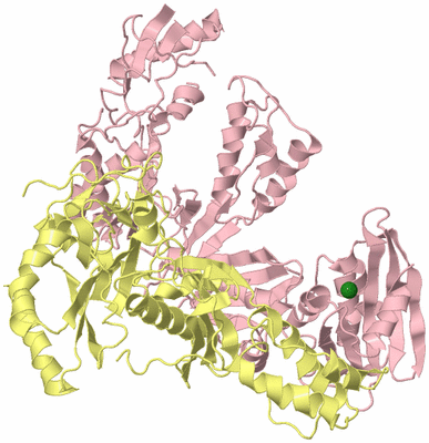 Image Biological Unit 2