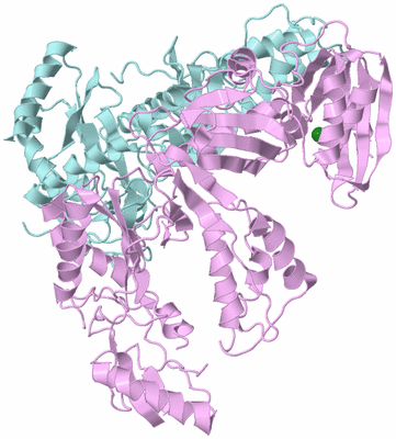 Image Biological Unit 3