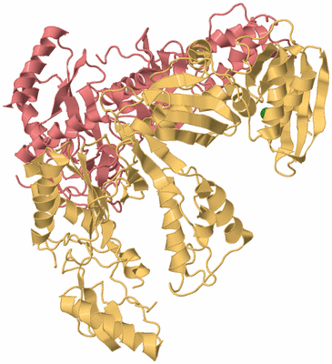 Image Biological Unit 4