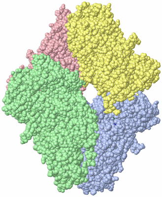 Image Asym./Biol. Unit