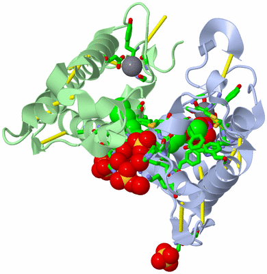 Image Asym./Biol. Unit - sites