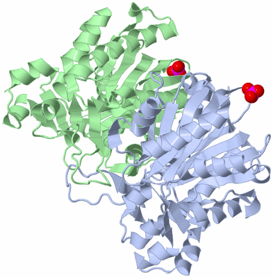 Image Asym./Biol. Unit