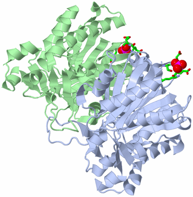 Image Asym./Biol. Unit - sites