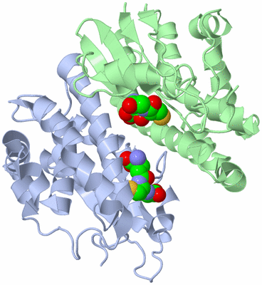 Image Asym./Biol. Unit