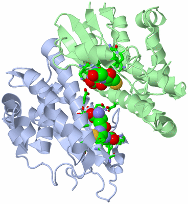 Image Asym./Biol. Unit - sites