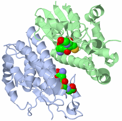 Image Biological Unit 1