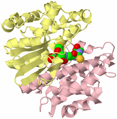 Image Biological Unit 2