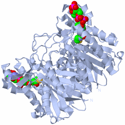 Image Biological Unit 1