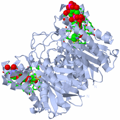 Image Biol. Unit 1 - sites