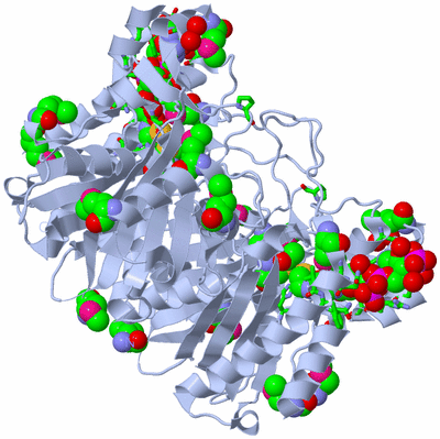 Image Biol. Unit 1 - sites