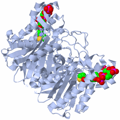 Image Biological Unit 1