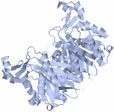 Image Biological Unit 1