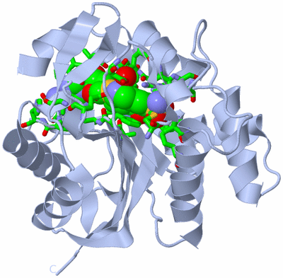 Image Biol. Unit 1 - sites