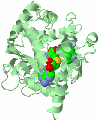 Image Biological Unit 2