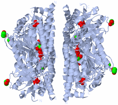 Image Biological Unit 1