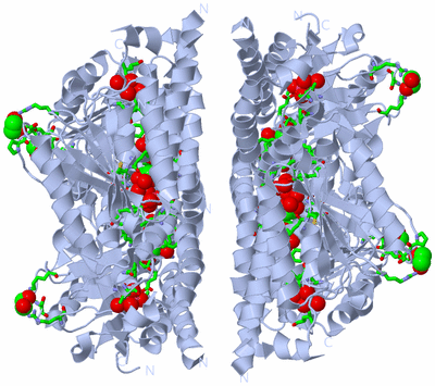 Image Biol. Unit 1 - sites