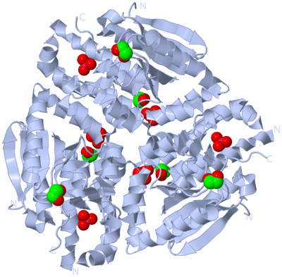 Image Biological Unit 2