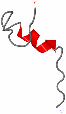 Image NMR Structure - model 1