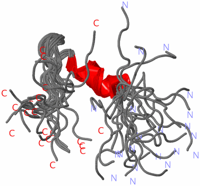 Image NMR Structure - all models