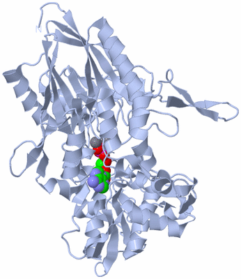 Image Biological Unit 1