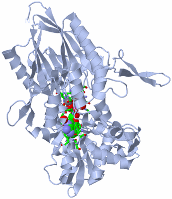 Image Biol. Unit 1 - sites