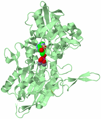 Image Biological Unit 2