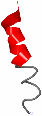 Image NMR Structure - model 1