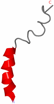 Image NMR Structure - model 1