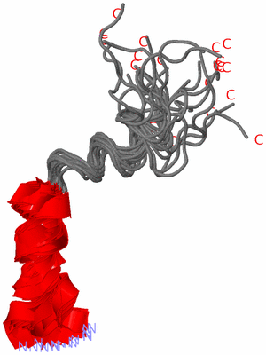 Image NMR Structure - all models