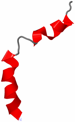Image NMR Structure - model 1