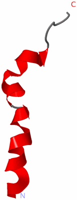 Image NMR Structure - model 1