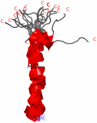 Image NMR Structure - all models