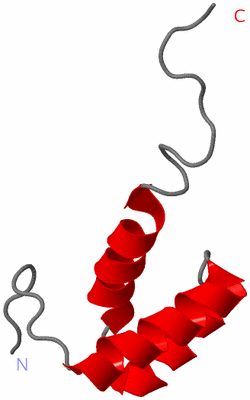 Image NMR Structure - model 1