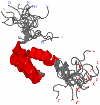 Image NMR Structure - all models